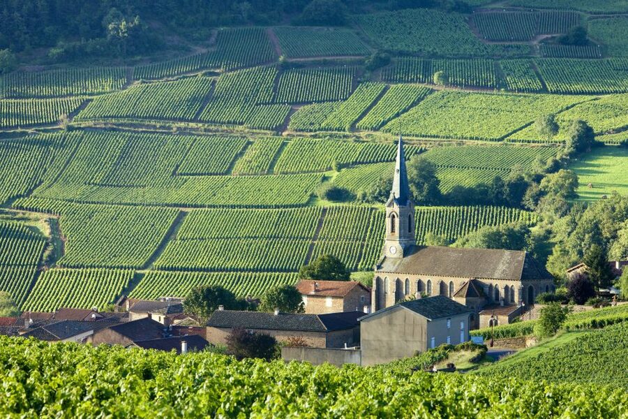 From Paris: Burgundy Region Winery Tour with Tastings - Is $277 a fair price?