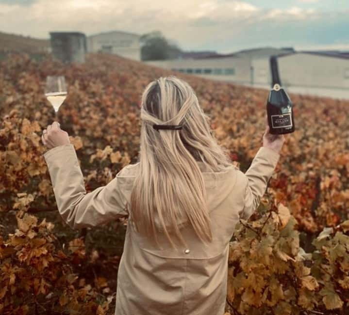 From Paris: Champagne Day Trip with 7 Tastings and Lunch - What seven tastings really mean