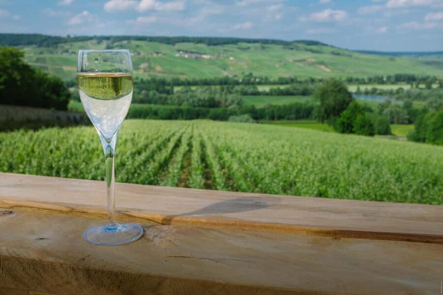From Paris: Champagne Day Trip with 7 Tastings and Lunch - Who should book this Champagne day trip?