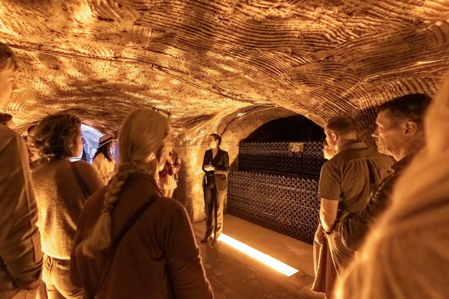From Paris: Day Trip to Champagne with 8 Tastings & Lunch - Who Will Enjoy This Day Most?