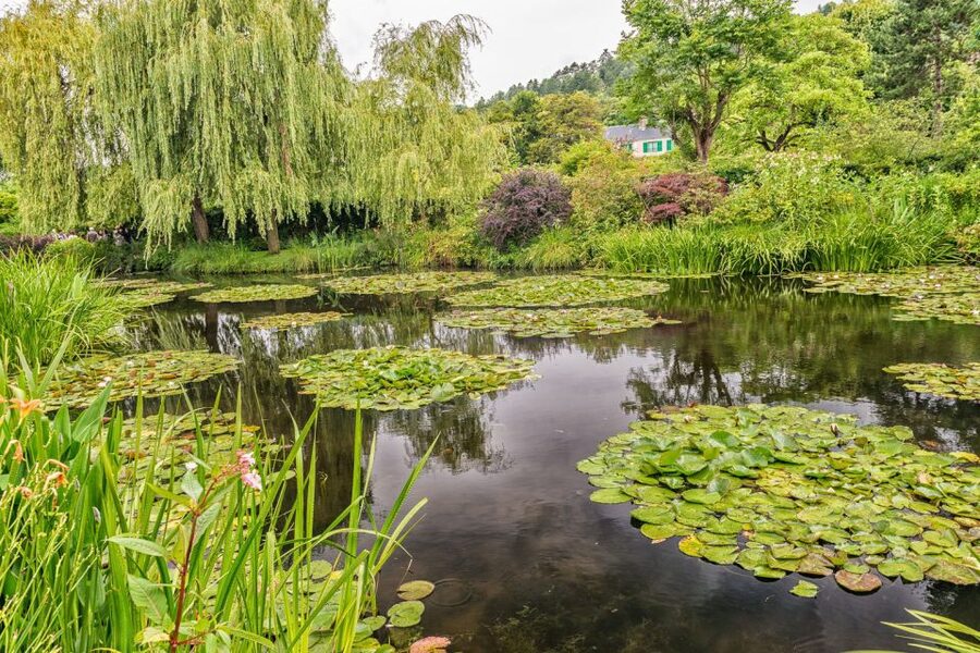 From Paris: Guided Day Trip to Monet's Garden in Giverny - The Flower Garden: Monet’s outdoor studio