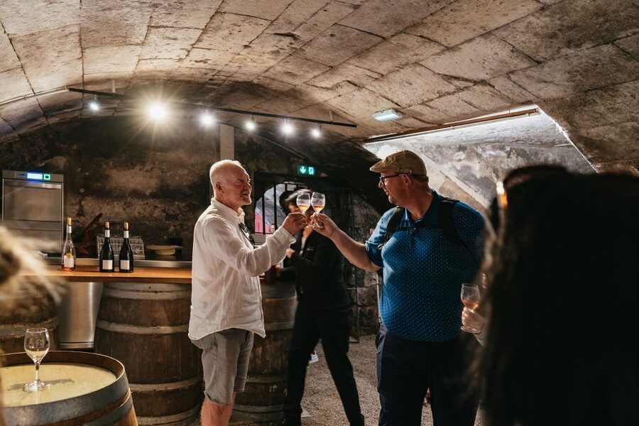 From Paris: Loire Valley Castles Day Trip With Wine Tasting - Chenonceau and the Ladies’ Castle