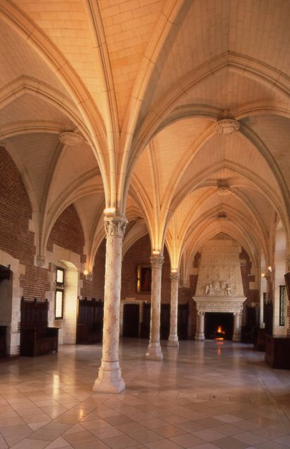 From Paris: Loire Valley Castles Full-Day Tour with Lunch - The pace, comfort, and practical limits