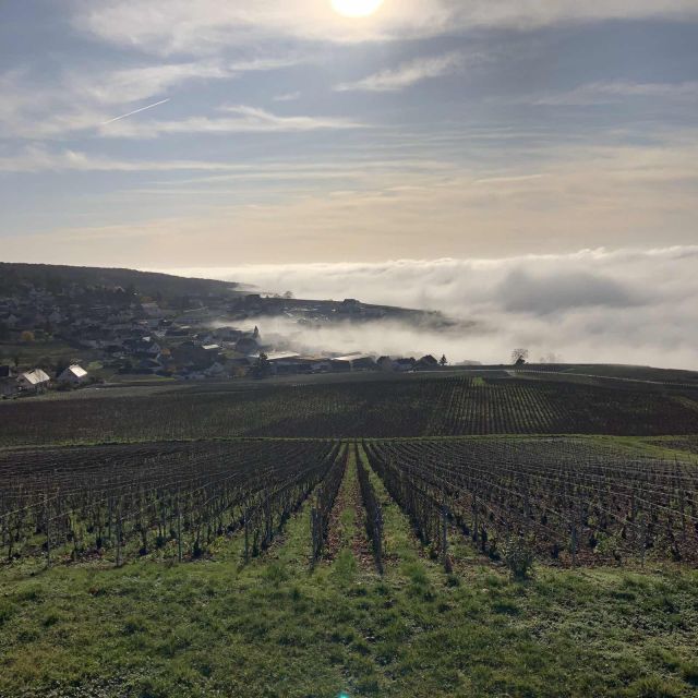 From Paris: Reims and Champagne Tasting Full-Day Tour - Meeting a Smaller Producer