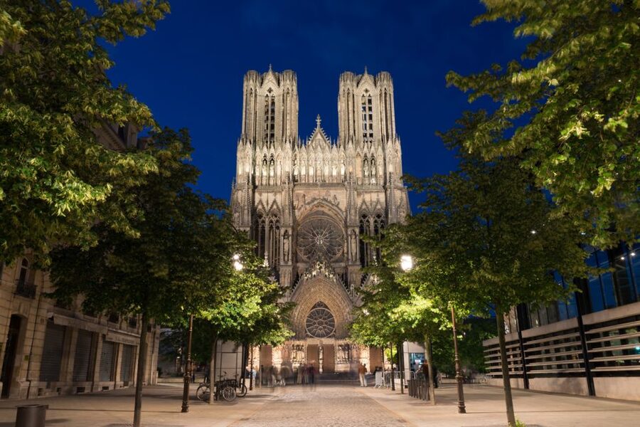 From Paris: Reims and Champagne Tasting Full-Day Tour - The Blind Tasting Among the Vines