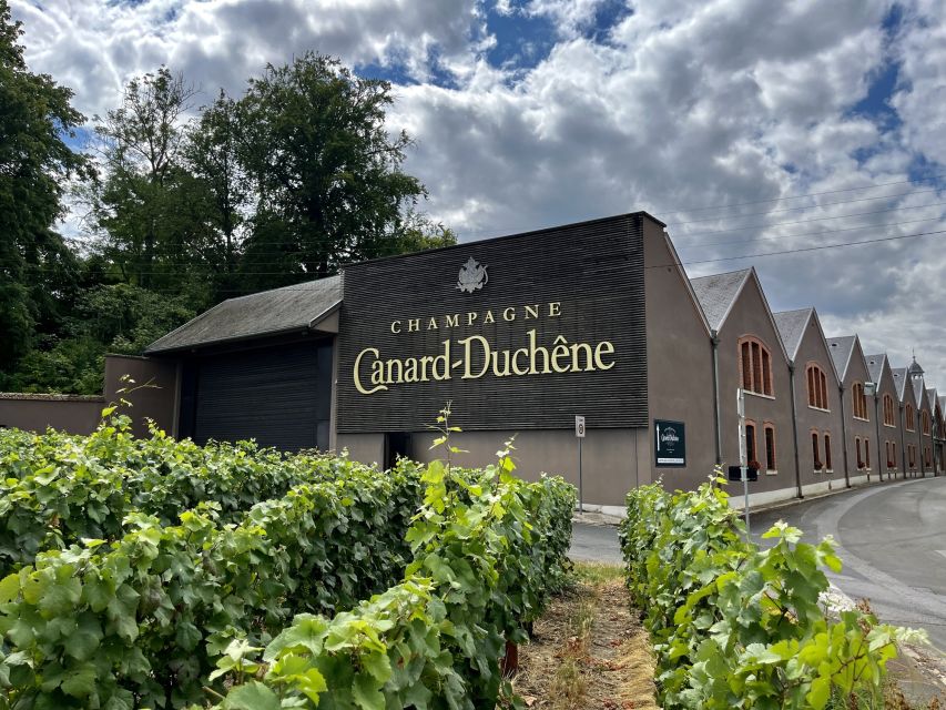 From Paris: Reims and Champagne Tasting Full-Day Tour - Reims Cathedral and the Royal Connection