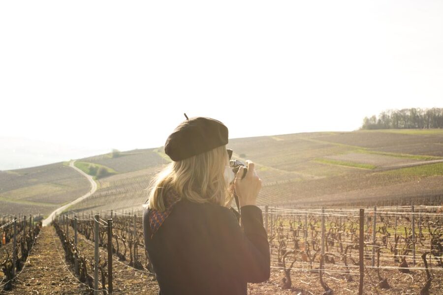 From Paris: Reims and Champagne Tasting Full-Day Tour - Guides Make the Difference