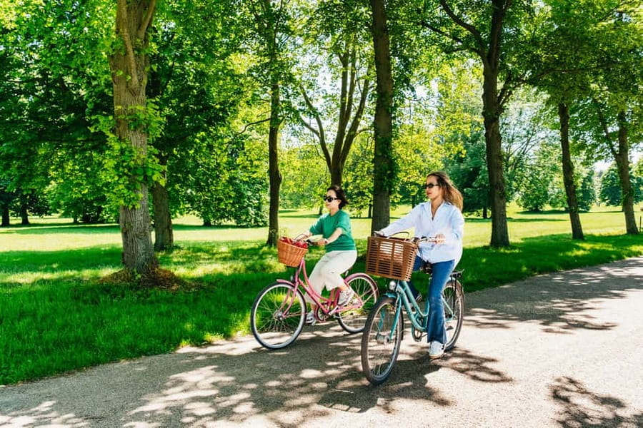 From Paris: Skip-the-Line Palace of Versailles Bike Tour - Quick facts about the Versailles bike tour