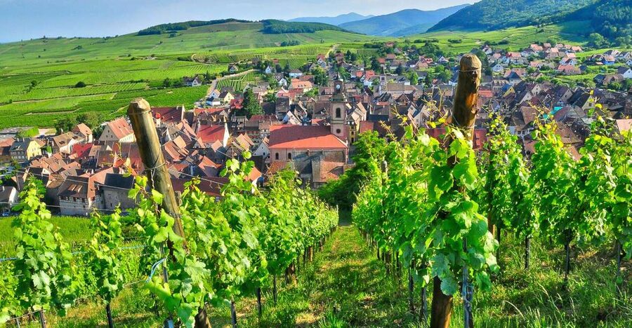 From Paris: Small-Group Champagne Day Trip with Six Tastings - Why this Champagne day trip works from Paris
