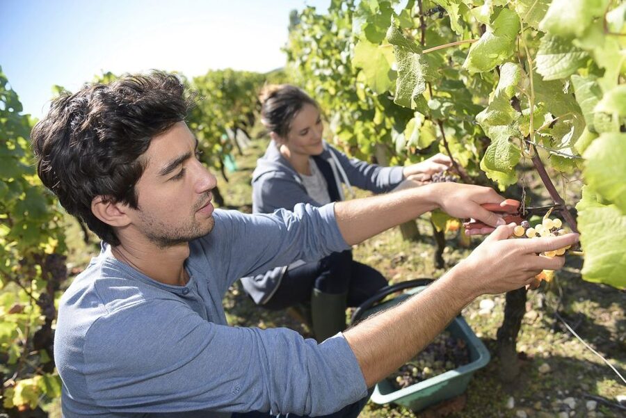 From Paris: Small-Group Champagne Day Trip with Six Tastings - Épernay gives you time to eat and wander