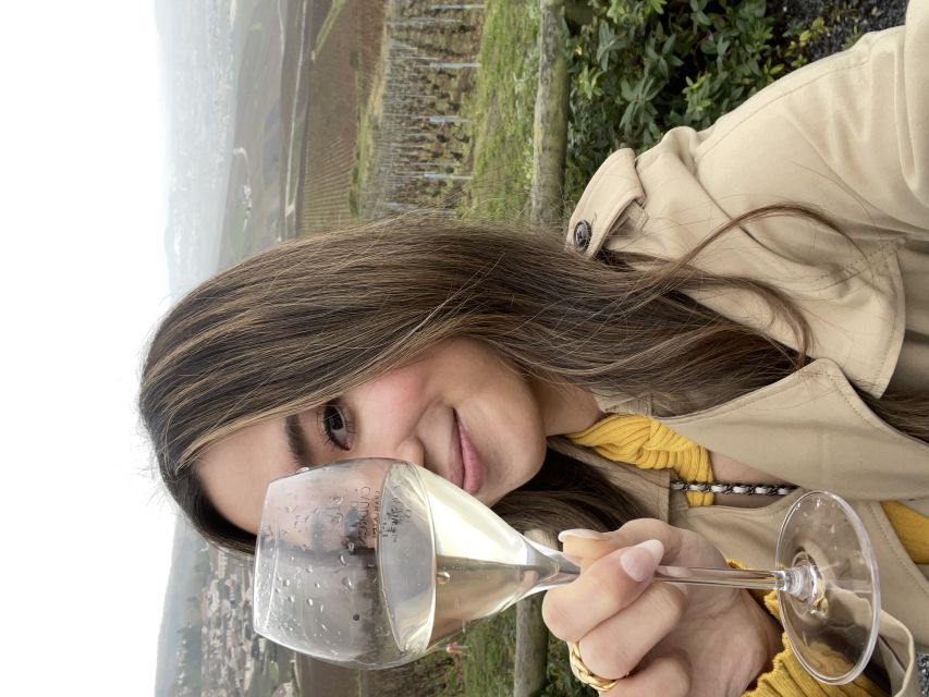 From Paris: Small-Group Champagne Tour with 3-Course Lunch - What you learn about Champagne production