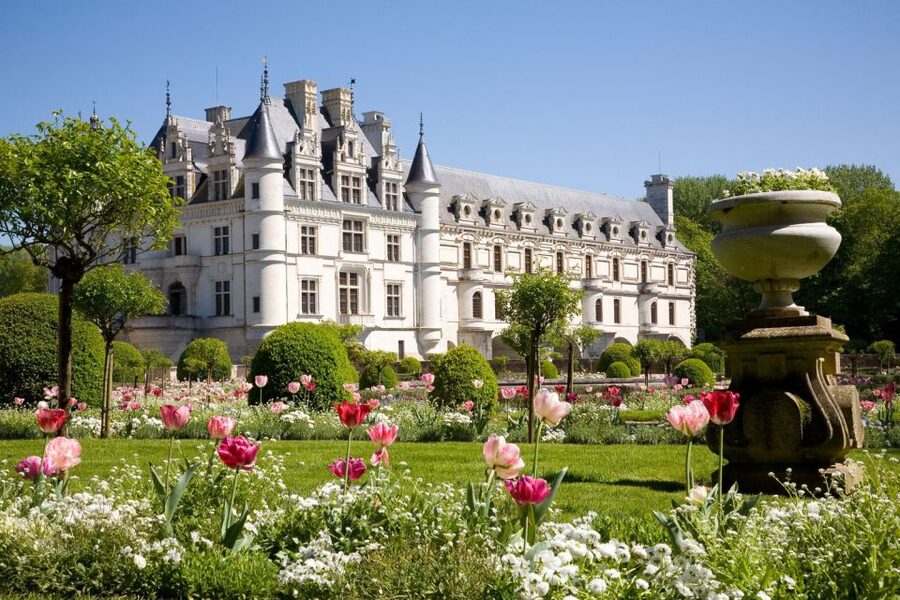 From Paris: Small-Group Loire Valley Castles Full-Day Tour - What the guide adds to the day