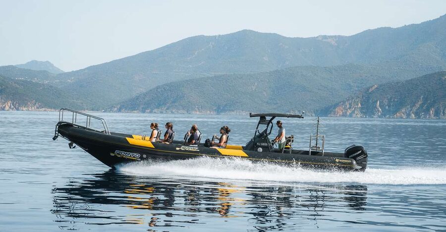 From Porto: Piana Creeks and Scandola Semi-Rigid Boat Tour - Key things to know before you book