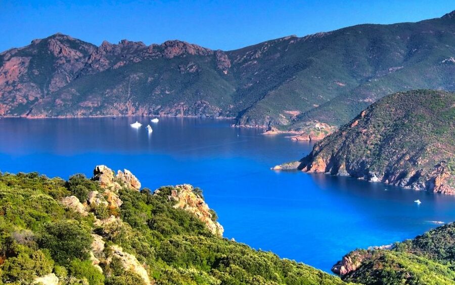 From Porto: Piana Creeks and Scandola Semi-Rigid Boat Tour - Scandola Nature Reserve and protected sea