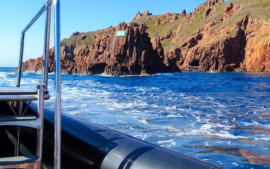 From Porto: Piana Creeks and Scandola Semi-Rigid Boat Tour - Swimming and snorkeling when the sea permits