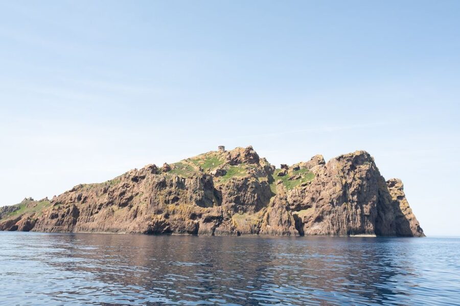 From Porto: Piana Creeks and Scandola Semi-Rigid Boat Tour - The guides and boat handling