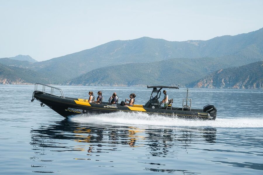From Porto: Piana Creeks and Scandola Semi-Rigid Boat Tour - What the $94 price buys you