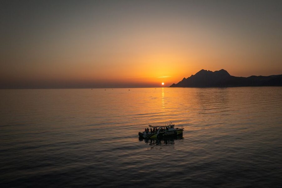 From Porto: Piana Creeks, Scandola on Family Boat - Why this Porto boat trip is worth your time
