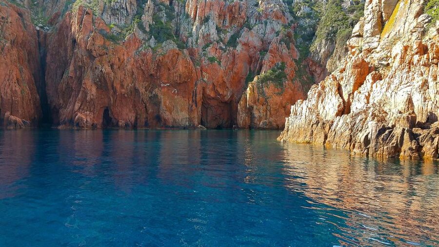 From Porto: Piana Creeks, Scandola on Family Boat - Practical advice for a smoother outing