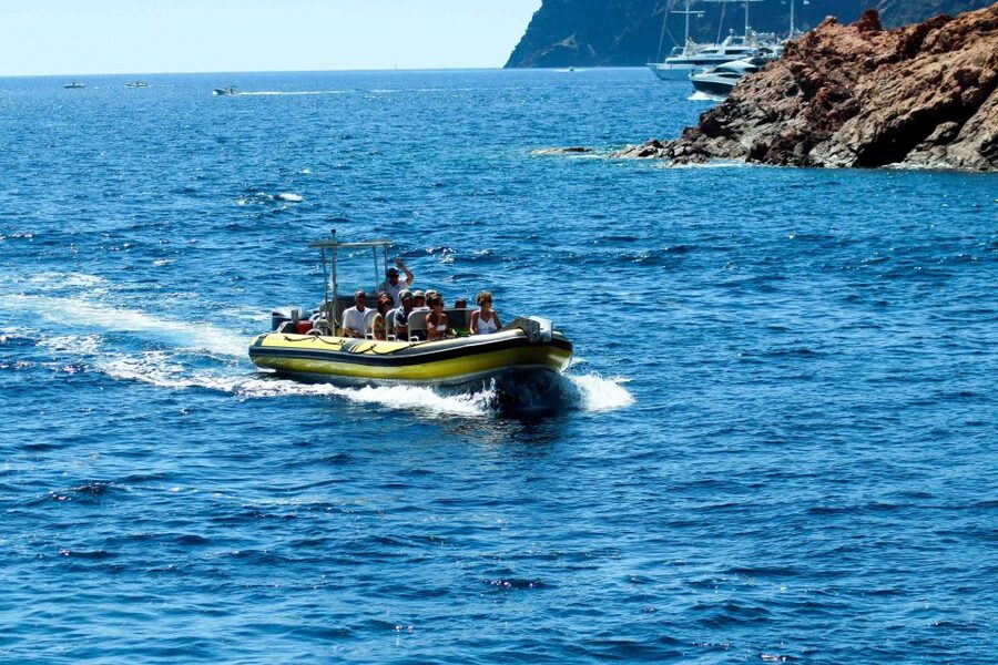 From Porto: Scandola and Calanche de Piana Boat Tour - The Calanche swimming stop is weather dependent
