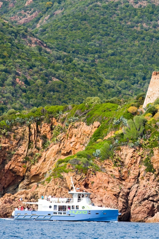 From Porto: Scandola & Girolata Tour by Boat - What the timing means for your day