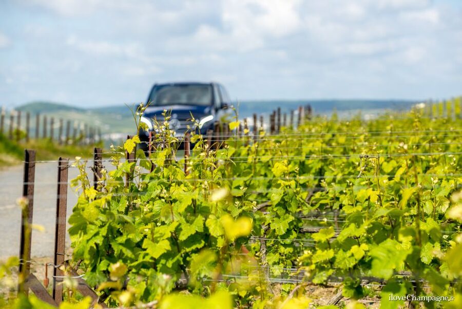 From Reims: Champagne and Family-Run Wineries Tour - Why this Champagne tour works well from Reims