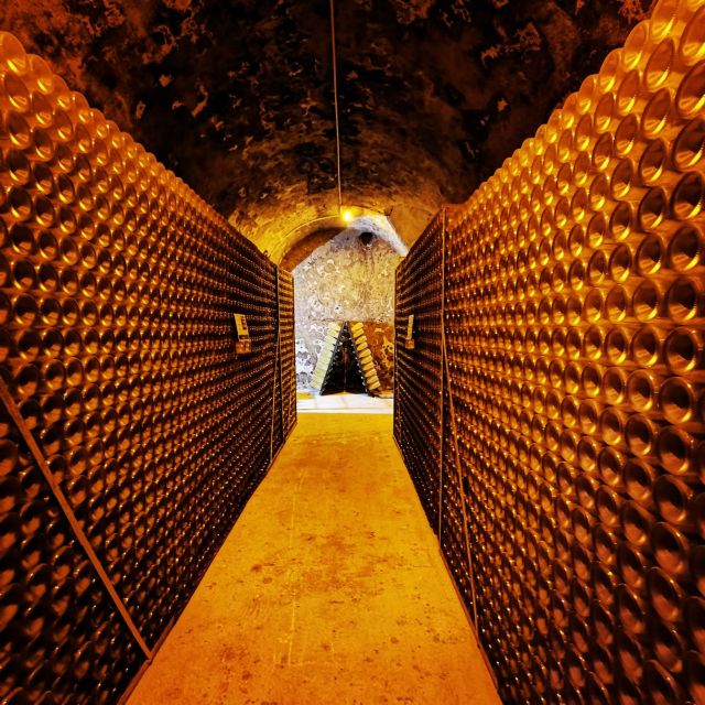 From Reims: Day Trip to Veuve Clicquot Family Grower & Lunch - Is $389 a fair price?