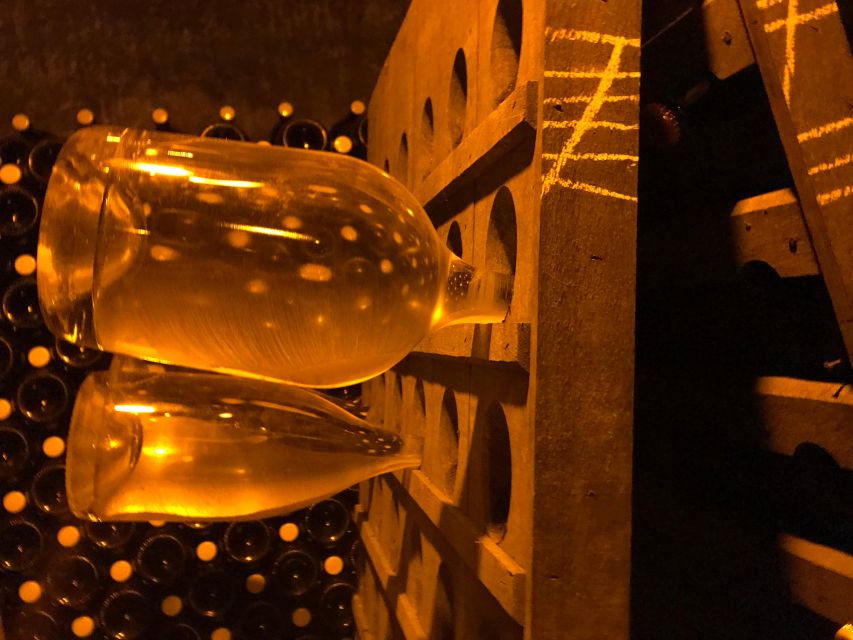 From Reims/Epernay: Champagne half-day tour (small group) - Who will enjoy this Champagne afternoon?