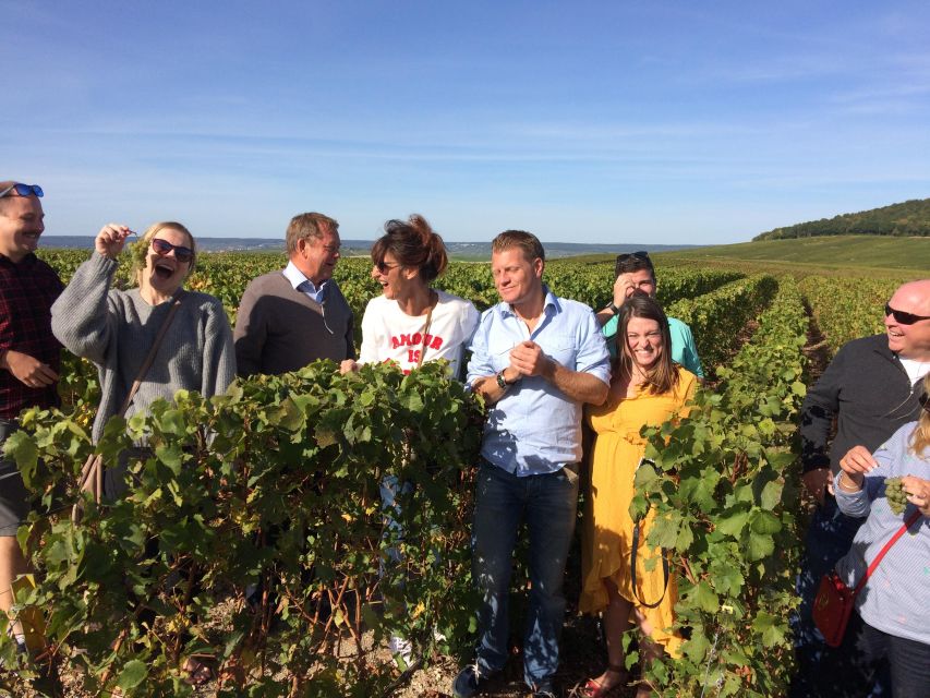 From Reims/Epernay: Champagne half-day tour (small group) - What to know before you book