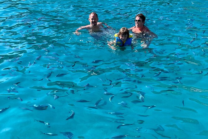 From Sagone/Cargèse: Scandola Girolata Calanques Piana Snorkeling - Is $96.75 a fair price?