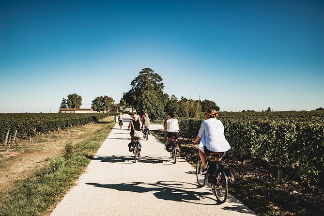 From Saint-Emilion : Electric Bike Day Tour with Wine Tastings and Picnic Lunch - Key points before you book