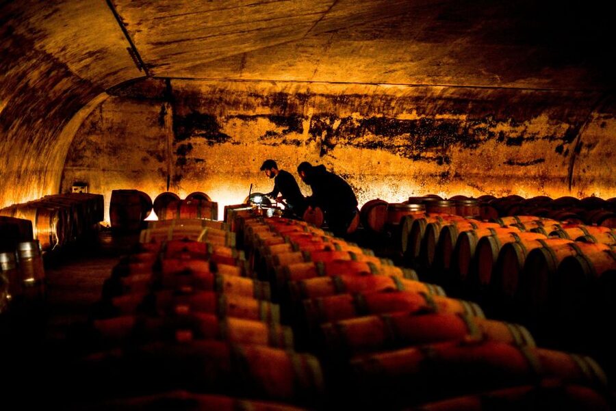 From Saint-Emilion : Half Day Electric Bike Tour - The second estate and a more generous tasting