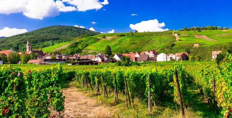 From Strasbourg: Half-Day Tour of Alsace Villages - Key points to know before booking