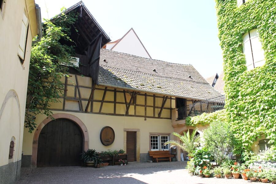 From Strasbourg: Half-Day Tour of Alsace Villages - Guides Make the Small Group Matter