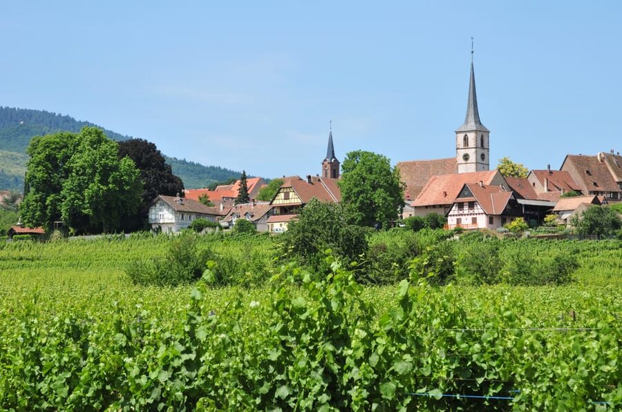 From Strasbourg: Half-Day Tour of Alsace Villages - Is $112 a Fair Price?