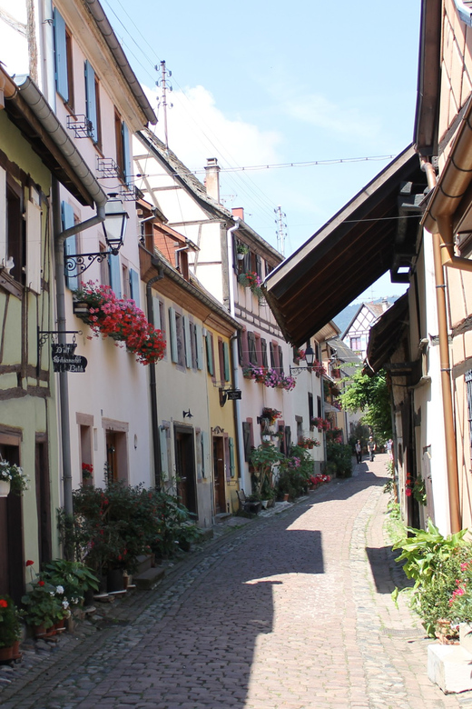 From Strasbourg: Half-Day Tour of Alsace Villages - Who Will Enjoy This Tour Most?