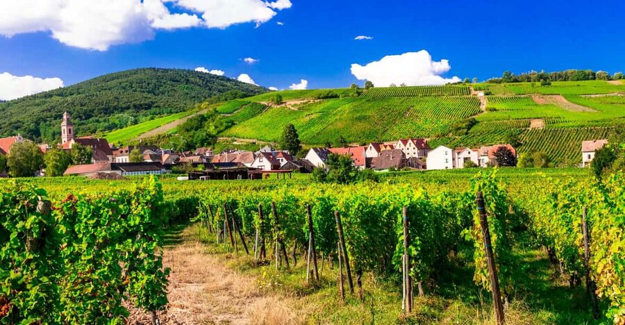 From Strasbourg: Half-Day Tour of Alsace Villages - Barr: Wine, Town Hall, and Marco Folie
