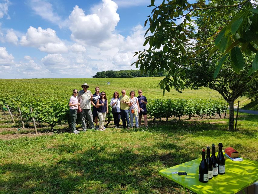 From Tours: Afternoon Loire Valley Wine Tour - Amboise: a wider range of Loire wines