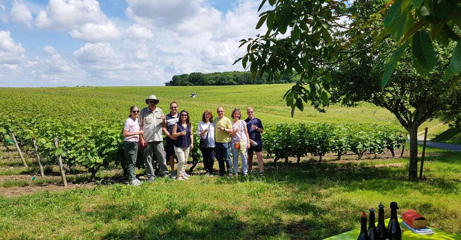 From Tours: Afternoon Loire Valley Wine Tour - What the guide adds to the tasting