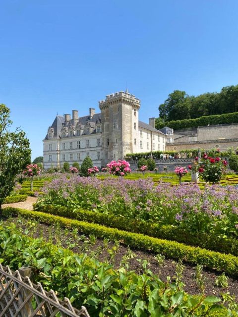 From Tours: Afternoon Loire Valley Wine Tour - Vouvray: sparkling wine, white wine, and cool caves