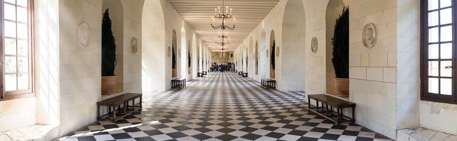 From Tours/Amboise: Chenonceau & Chambord Chateaux Day Trip - Why the eight-person minivan matters