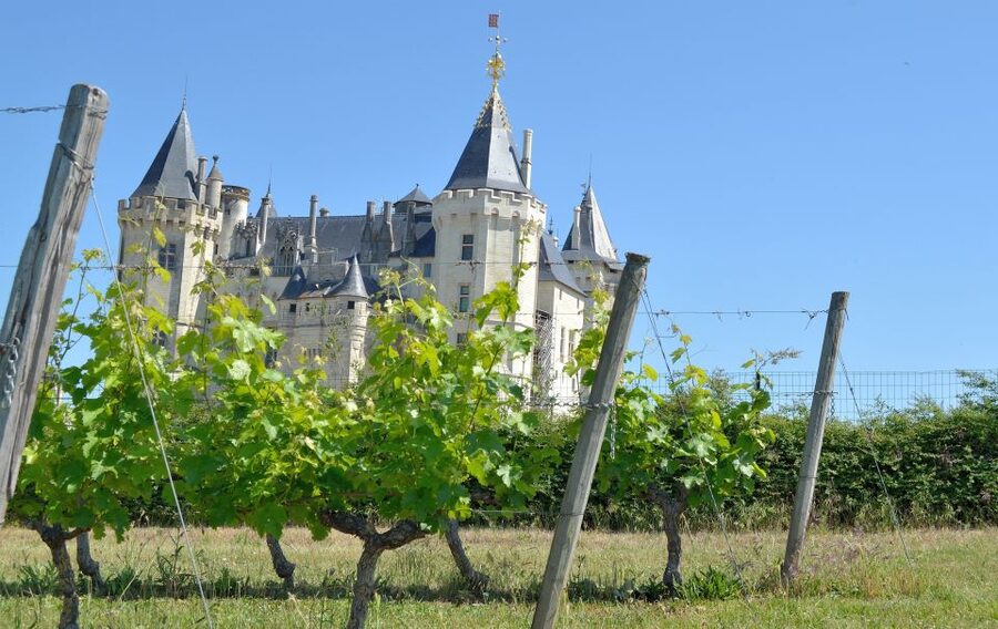 From Tours: Loire Valley Wineries Day Trip with Tastings - Why this Loire Valley day trip works