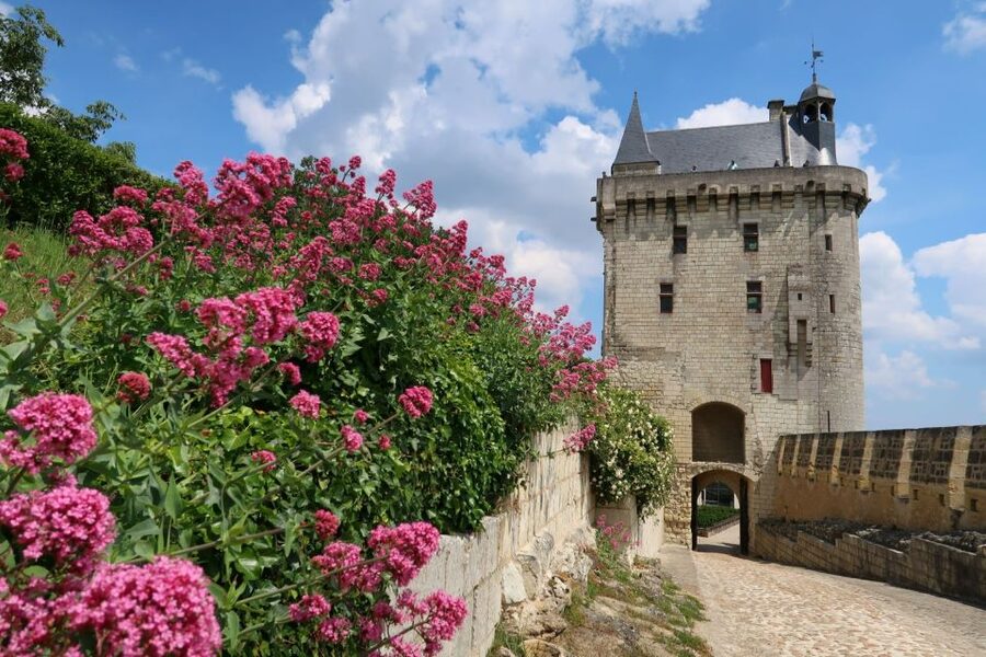 From Tours: Loire Valley Wineries Day Trip with Tastings - Chinon, old streets, and lunch on your own