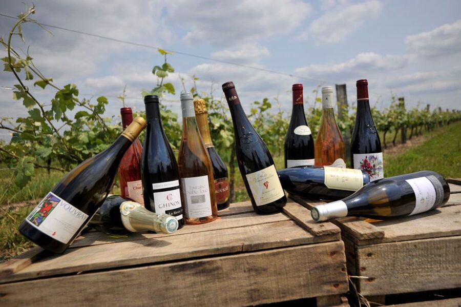 From Tours: Loire Valley Wineries Day Trip with Tastings - A guide who shapes the whole day