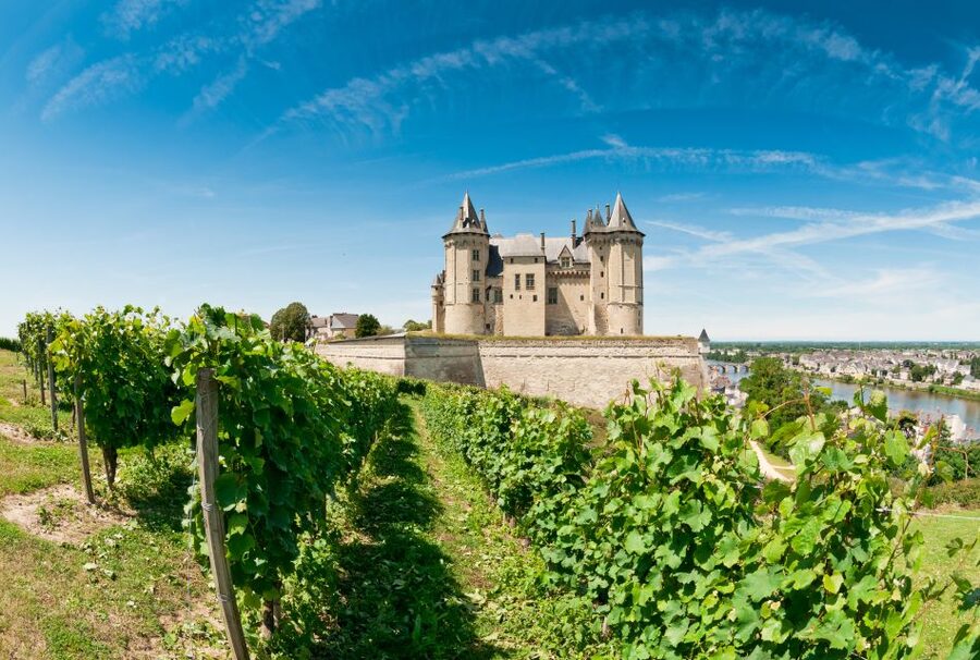 From Tours: Loire Valley Wineries Day Trip with Tastings - Comfort, timing, and what to pack