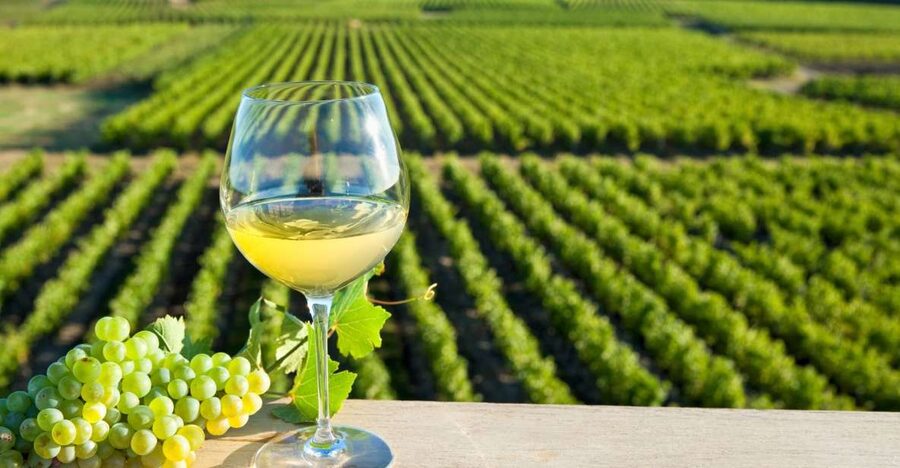 From Tours: Loire Valley Wineries Day Trip with Tastings - Is $182 a fair price?