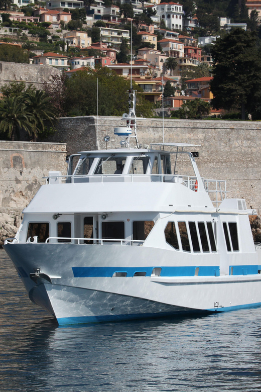 From Villefranche-sur-Mer: Guided Dolphin-Watching Tour - Who will enjoy this boat trip most