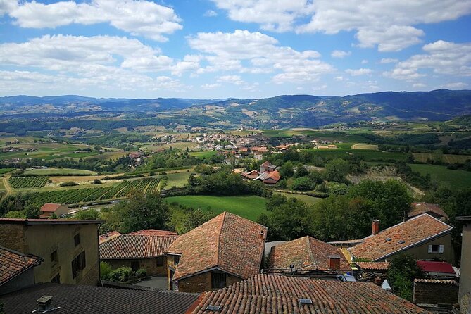 Full-Day Beaujolais Wine Tour - Picnic Lunch Included - Key Points Before You Book