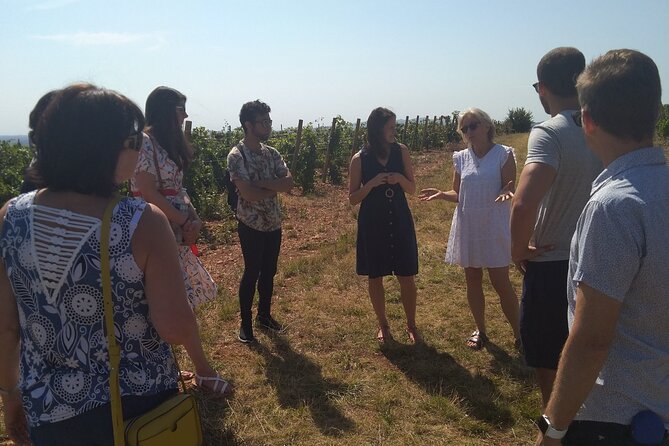 Full-Day Beaujolais Wine Tour - Picnic Lunch Included - A Proper Vineyard Picnic in Denice