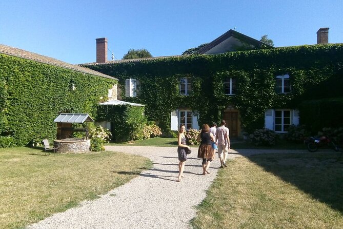 Full-Day Beaujolais Wine Tour - Picnic Lunch Included - Oingt and the Final Views